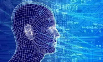 從小白到大數(shù)據(jù)人工智能專家的進階之路 聚焦基礎(chǔ)軟件開發(fā)